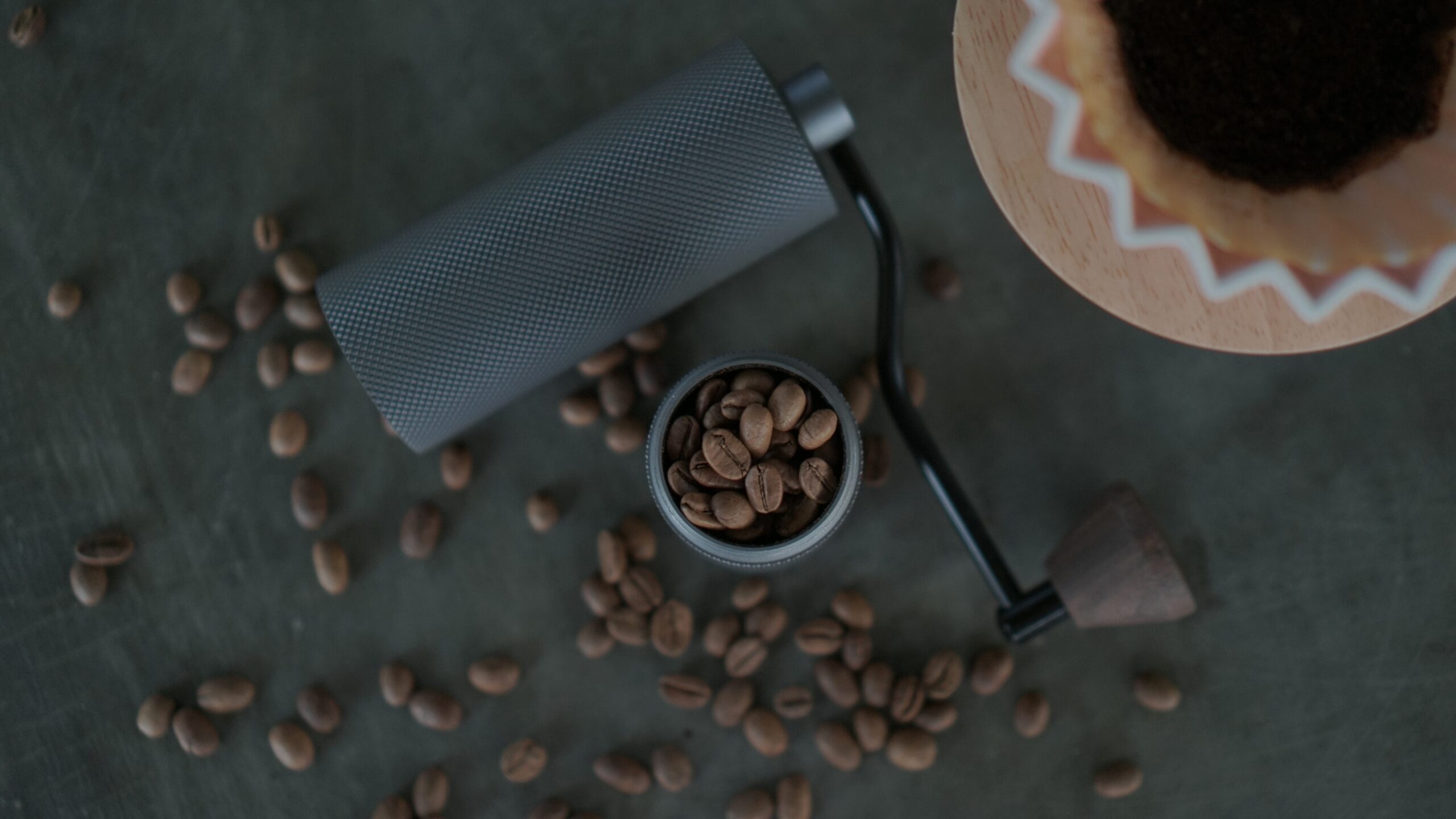 Manual coffee grinder